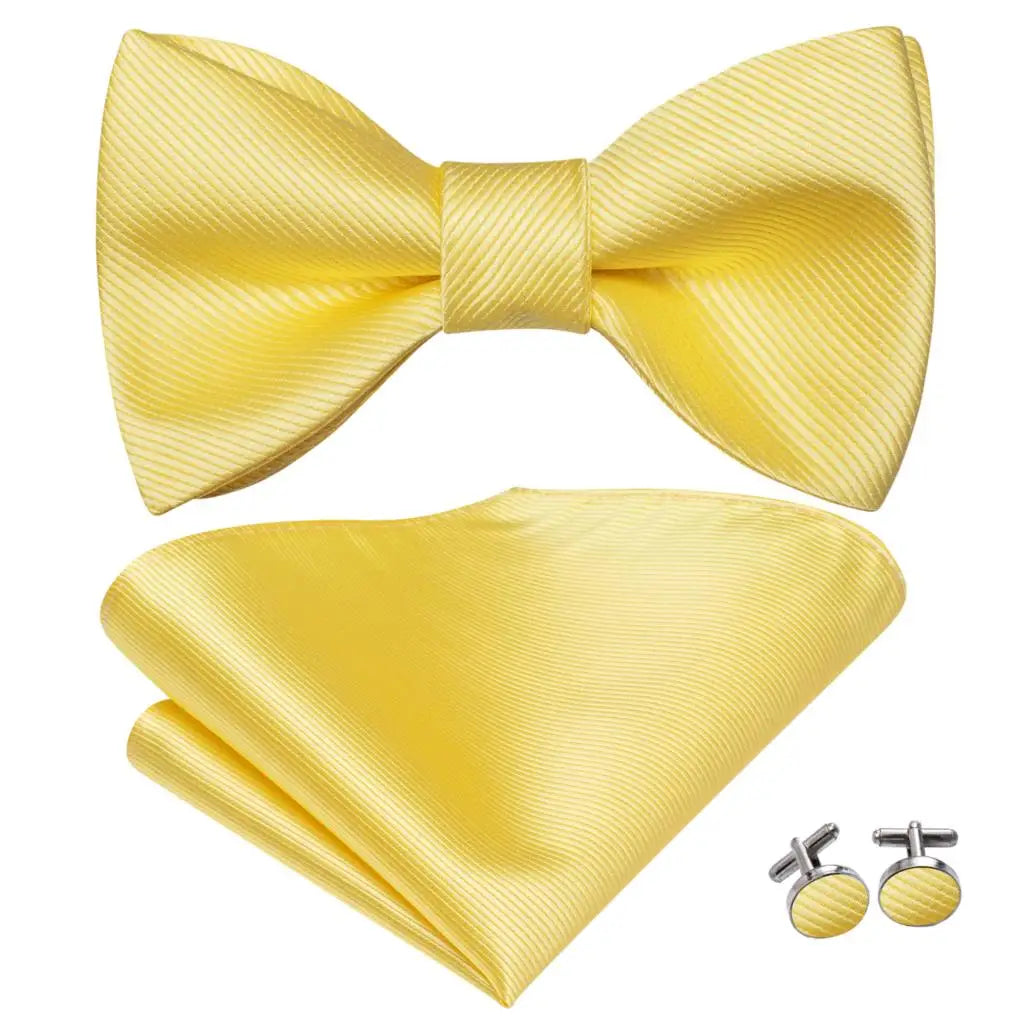 Hi-Tie Ensemble nœud papillon en soie pour homme, mouchoir et boutons de manchette, bleu, rouge, or, noir, blanc, jacquard, nœud papillon, mariage, affaires