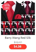 Barry.Wang Nouveauté Soie Hommes Cravate Mouchoir Boutons de Manchette Ensemble Jacquard Animal Dinosaure Chauve-Souris Gravat Cravate Pour Homme Mariage Affaires