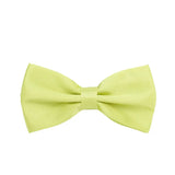 HUISUI 2024 New 43 Color Suit Bow Tie Wedding Gift Solid Party Classic Butterfly Cravat Wholesale Polyester Material Bowtie