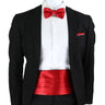 New Fashion Mens Cummerbund Bow Tie Brooch Set Black Red Blue   Waist Seal For Formal Tuxedo Business Suit Dinner Accessories