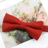 Mens Super Soft Downy Suede Parent-Child Bowtie Set Macarons Solid Color Classic Design Cute Butterfly Red Green Blue Pink Tie