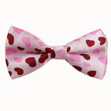 Cravate étroite de haute qualité pour homme, couleur unie, slim et fine, pour fête de mariage, largeur 5 cm, pour femme, JC0015