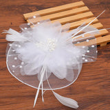 Haimeikang Fascinators Chapeau Femmes Fleur Maille Rubans Plumes Chapeau Bandeau Ou un Clip Cocktail Thé Fête Headwewar pour Filles