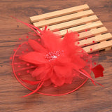 Haimeikang Fascinators Chapeau Femmes Fleur Maille Rubans Plumes Chapeau Bandeau Ou un Clip Cocktail Thé Fête Headwewar pour Filles