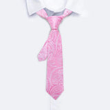 Barry.Wang Exquisite Children Tie Jacquard Silk Necktie HandKerchief for Child Boy Kids Party Birthday School 8 to 14 Years Old