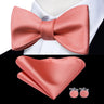 Hi-Tie Ensemble nœud papillon en soie pour homme, mouchoir et boutons de manchette, bleu, rouge, or, noir, blanc, jacquard, nœud papillon, mariage, affaires