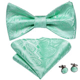 Hi-Tie Ensemble nœud papillon en soie pour homme, mouchoir et boutons de manchette, bleu, rouge, or, noir, blanc, jacquard, nœud papillon, mariage, affaires