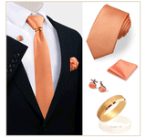 Ensemble de cravates en soie de luxe pour hommes, cravate, mouchoir, boutons de manchette avec anneau en métal doré, broche, costume, fête de mariage, accessoires pour hommes