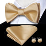 Hi-Tie Ensemble nœud papillon en soie pour homme, mouchoir et boutons de manchette, bleu, rouge, or, noir, blanc, jacquard, nœud papillon, mariage, affaires
