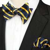 EASTEPIC Striped Bow Tie for Men Hanky Set Plaid Accessory Paisley Neckwear Floral Design Polka Dot Pure Black Evening Party