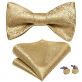 Hi-Tie Ensemble nœud papillon en soie pour homme, mouchoir et boutons de manchette, bleu, rouge, or, noir, blanc, jacquard, nœud papillon, mariage, affaires