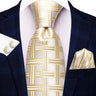 Hi-Tie Cravate de mariage en soie à motif floral, couleur champagne ivoire massif, pour homme, de qualité, avec boutons de manchette, tendance, pour entreprise, livraison directe