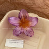 Hawaiian Gradient Hair Clips Flower Hair Claws Big Size Fashion Head wear Hairpin for Women Girls Crab Barrette Hair Accessories