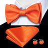 Hi-Tie Ensemble nœud papillon en soie pour homme, mouchoir et boutons de manchette, bleu, rouge, or, noir, blanc, jacquard, nœud papillon, mariage, affaires