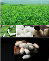 Natural Silk Long Turban Thick Hair Bonnet Night Cap Turban For Sleeping Curly Hair Silk Bonnet For Sleep Elastic Silk Hair Wrap