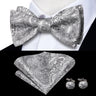 Hi-Tie Ensemble nœud papillon en soie pour homme, mouchoir et boutons de manchette, bleu, rouge, or, noir, blanc, jacquard, nœud papillon, mariage, affaires