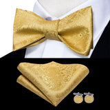 Hi-Tie Ensemble nœud papillon en soie pour homme, mouchoir et boutons de manchette, bleu, rouge, or, noir, blanc, jacquard, nœud papillon, mariage, affaires