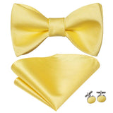 Hi-Tie Ensemble nœud papillon en soie pour homme, mouchoir et boutons de manchette, bleu, rouge, or, noir, blanc, jacquard, nœud papillon, mariage, affaires