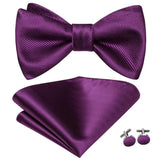 Hi-Tie Ensemble nœud papillon en soie pour homme, mouchoir et boutons de manchette, bleu, rouge, or, noir, blanc, jacquard, nœud papillon, mariage, affaires