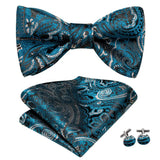 Hi-Tie Ensemble nœud papillon en soie pour homme, mouchoir et boutons de manchette, bleu, rouge, or, noir, blanc, jacquard, nœud papillon, mariage, affaires