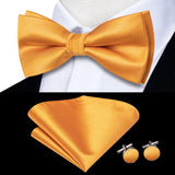 Hi-Tie Jacquard Silk Nœud papillon pour homme, ensemble de boutons de manchette et mouchoir, nœud papillon pré-noué, noir, blanc, gris, bleu, rouge, vert, rose, violet
