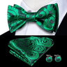 Hi-Tie Ensemble nœud papillon en soie pour homme, mouchoir et boutons de manchette, bleu, rouge, or, noir, blanc, jacquard, nœud papillon, mariage, affaires