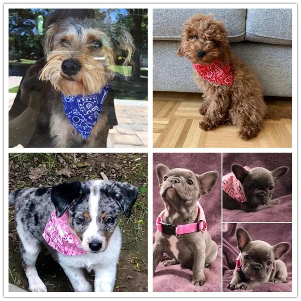 Bandanas pour chien, grande écharpe pour animal de compagnie, en coton à carreaux, lavable, nœuds papillon, collier, écharpe pour chien et chat, grands accessoires pour chien, foulard