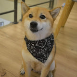 Bandanas pour chien, grande écharpe pour animal de compagnie, en coton à carreaux, lavable, nœuds papillon, collier, écharpe pour chien et chat, grands accessoires pour chien, foulard