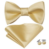 Hi-Tie Ensemble nœud papillon en soie pour homme, mouchoir et boutons de manchette, bleu, rouge, or, noir, blanc, jacquard, nœud papillon, mariage, affaires