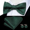 Hi-Tie Ensemble nœud papillon en soie pour homme, mouchoir et boutons de manchette, bleu, rouge, or, noir, blanc, jacquard, nœud papillon, mariage, affaires