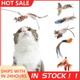 Cat Dancer Wand High Flexibility Elastic Cat Stick Wand Toy Interactive Cat Toy Cute Exchangeable Bird With Bell Cat Stick Toy