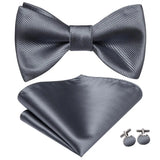 Hi-Tie Ensemble nœud papillon en soie pour homme, mouchoir et boutons de manchette, bleu, rouge, or, noir, blanc, jacquard, nœud papillon, mariage, affaires