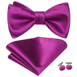 Hi-Tie Ensemble nœud papillon en soie pour homme, mouchoir et boutons de manchette, bleu, rouge, or, noir, blanc, jacquard, nœud papillon, mariage, affaires
