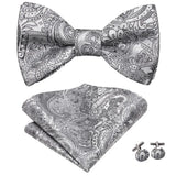 Hi-Tie Ensemble nœud papillon en soie pour homme, mouchoir et boutons de manchette, bleu, rouge, or, noir, blanc, jacquard, nœud papillon, mariage, affaires