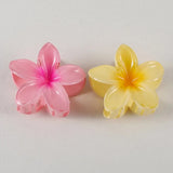 2Pcs Flower Hair Claw Clips for Women Gradient Large Claw Clips for Thick Hair Girls No-slip Hairpins Women Hair Accessories