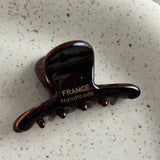 French Style Woman Exquisite Version Gold Label Small Acetate Hair Claws Barrettes Lady Trendy Side Clips Girls Hair Accessories