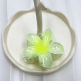 2024 Bohemian Beach Vacation Frangipani Egg Flower Hair Clips Lily Flower Hawaii Beach Hair Claw for Women Girl Hair Accessories