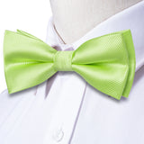Hi-Tie Jacquard Silk Nœud papillon pour homme, ensemble de boutons de manchette et mouchoir, nœud papillon pré-noué, noir, blanc, gris, bleu, rouge, vert, rose, violet