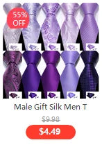 Barry.Wang Nouveauté Soie Hommes Cravate Mouchoir Boutons de Manchette Ensemble Jacquard Animal Dinosaure Chauve-Souris Gravat Cravate Pour Homme Mariage Affaires