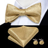 Hi-Tie Ensemble nœud papillon en soie pour homme, mouchoir et boutons de manchette, bleu, rouge, or, noir, blanc, jacquard, nœud papillon, mariage, affaires