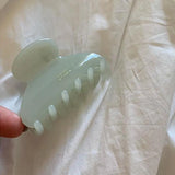 Elegant Acetate Hair Claw Medium Size Sweet Hair Clip Shark Clip Women Hair Accessories Headwear