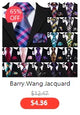 Barry.Wang Nouveauté Soie Hommes Cravate Mouchoir Boutons de Manchette Ensemble Jacquard Animal Dinosaure Chauve-Souris Gravat Cravate Pour Homme Mariage Affaires